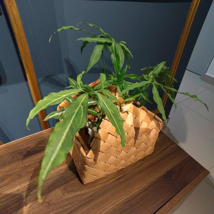 Alocasia Geniehome 3Br Free Wifi @ Utropolis Шах-Алам Экстерьер фото
